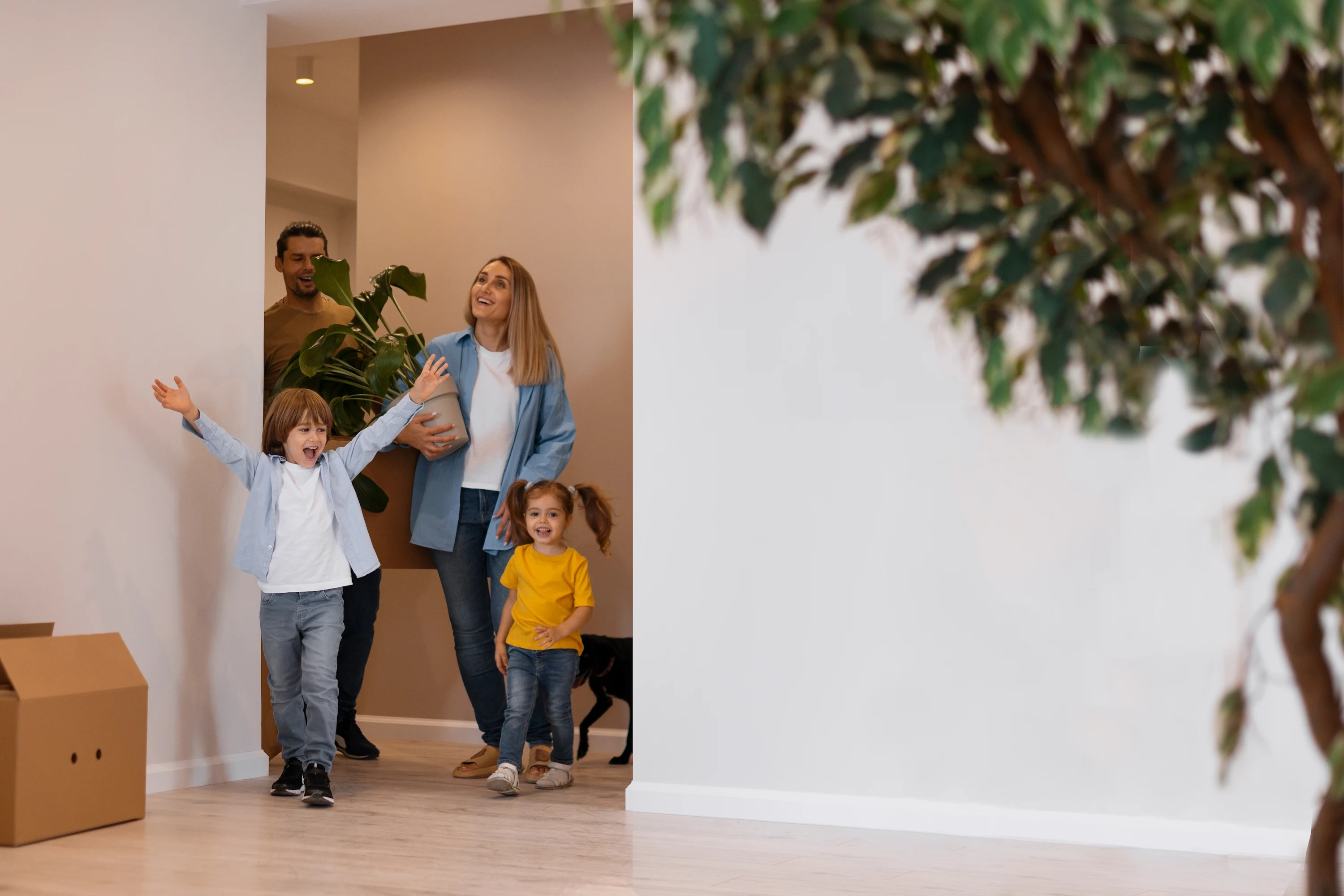 Descubri oportunidades inmobiliarias imagen